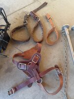 IMG_3848.jpeg