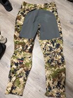 IMG_2989.jpeg