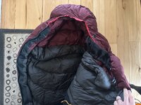 IMG_7164.jpeg IMG_7164.jpeg