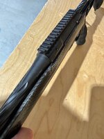IMG_4486.jpeg