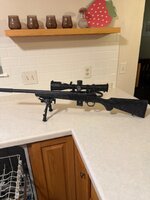 IMG_2137.jpeg