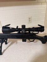 IMG_2139.jpeg