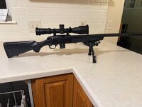 IMG_2136.jpeg