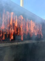 IMG_2266.jpeg