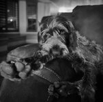 IMG_1856.jpeg IMG_1856.jpeg