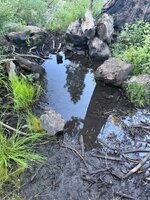 IMG_3126.jpeg