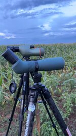 IMG_4055.jpeg