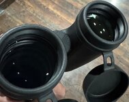 IMG_1288.jpeg