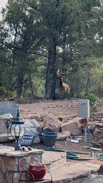 IMG_2417.jpeg