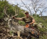 2019 NM Mule Deer.JPG