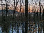 IMG_20191127_063128.jpg