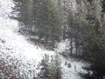 12E2320C-85E8-439C-A5EC-EB373836F037.jpeg