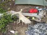 Moose Shed.JPG