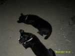 KENS PICTURES 045.JPG
