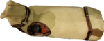 Top.png