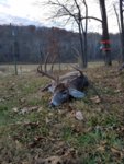 20191122_160855.jpg 20191122_160855.jpg