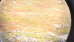 vlcsnap-2013-09-07-08h07m43s83.png