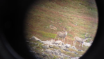vlcsnap-2013-09-07-08h12m38s24.png