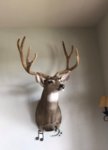 mount.jpg
