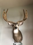 mount2.jpg