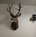 1016192036-1.jpg