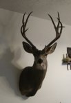 1212191706a-1.jpg