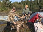 Deer 1.JPG
