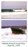 Whale beach Australia Big.jpg