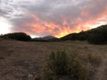 1805396E-9D79-4323-A085-25F555CEDE22.jpeg