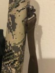 IMG_8383.jpeg