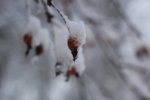 20191229111915_IMG_4433.JPG