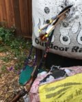 5B121941-560B-40FF-8985-1949629BF8F5.jpeg