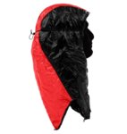 eehoodlum.jpg eehoodlum.jpg