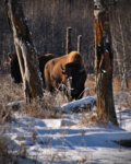 DSC_0122.jpg