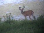 IMG_0476.JPEG