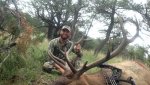 my elk.jpg my elk.jpg