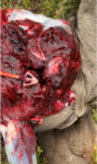 aron_muley_lr.jpg