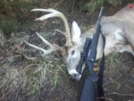 2019 buck III.jpg
