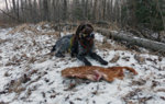 P1010769 - Copy.JPG