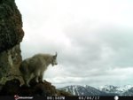55E3836D-E9AA-4661-B2D8-314487A9FF2D.jpeg
