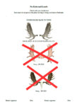sorry no fly.jpg
