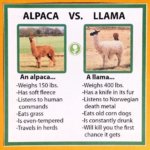 C2EE75D8-512A-4534-A358-DECA8FA2614B.jpeg