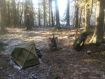 5973DEC4-2C83-46F8-8786-014D5DD063F4.jpeg