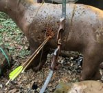 D8810DCB-1E24-4A3A-A7E6-241C529DC15E.jpeg D8810DCB-1E24-4A3A-A7E6-241C529DC15E.jpeg