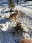 IMG_1023.JPEG