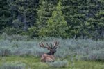 69181E38-CD8F-43A8-AB46-54B6F80B3320.jpeg