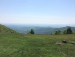 IMG_2737.jpg
