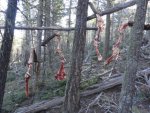 Elk Qrtrs Boned.jpg