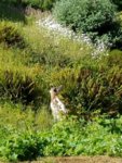 20180615_094109.jpg