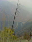 DSC00051 9.jpg